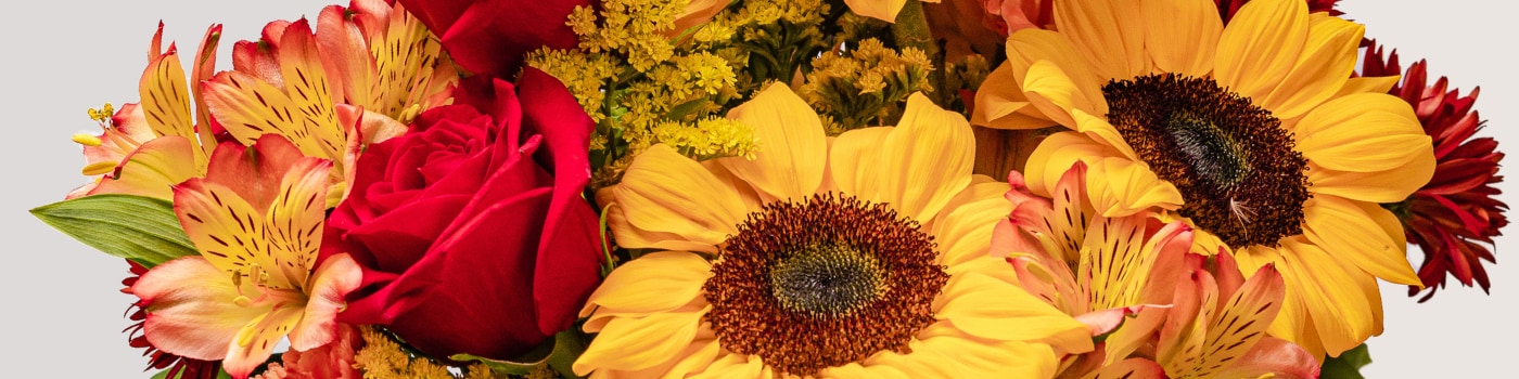 Clarks Summit, PA Fall Flowers, Shop Now